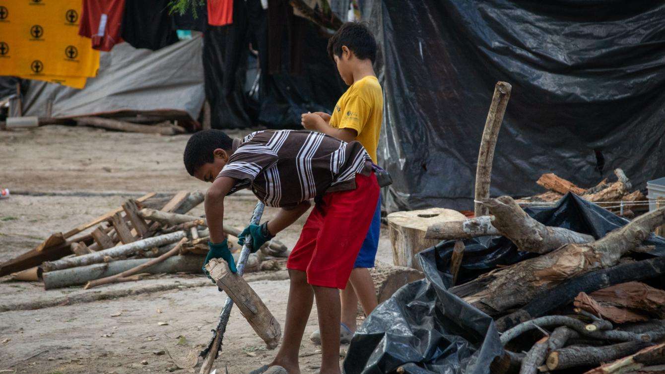 Children chop firewood 